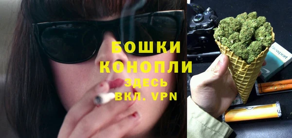 mix Богородицк