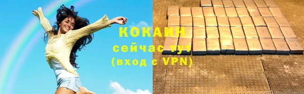 mix Богородицк