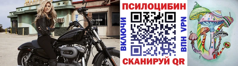 Псилоцибиновые грибы GOLDEN TEACHER  Химки 